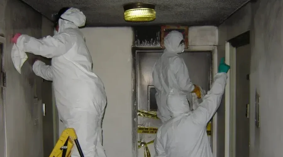 Technicians in protective gear performing mold remediation in a residential hallway, using professional equipment to ensure safe and effective mold removal.