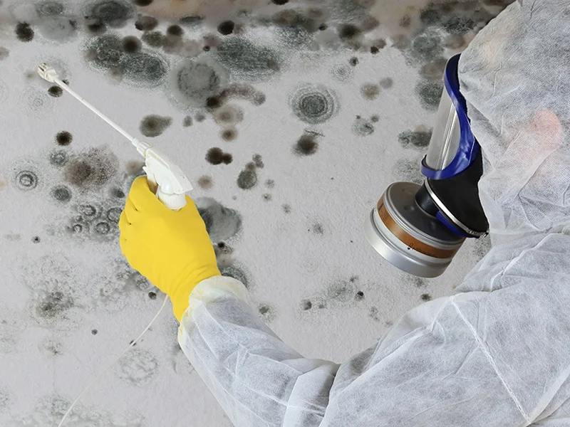 Mold remediation professional in protective gear spraying treatment on mold-infested surface, emphasizing safety and effective mold removal services by VIP Restoration Inc.