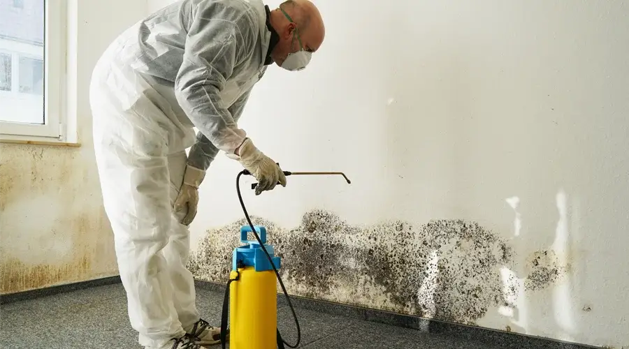 Professional technician in protective gear applying mold remediation treatment to a wall with visible mold growth in a commercial space.