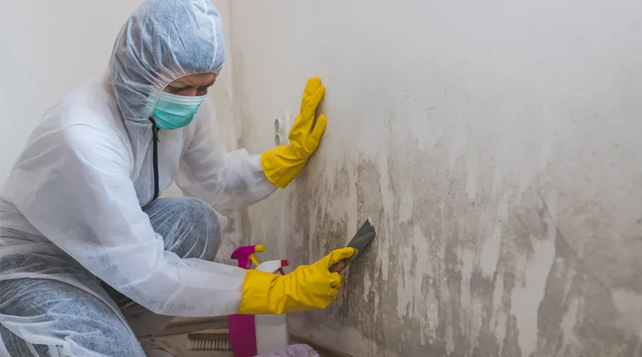 Professional technician in protective gear removing mold from a wall, demonstrating effective commercial mold remediation techniques.