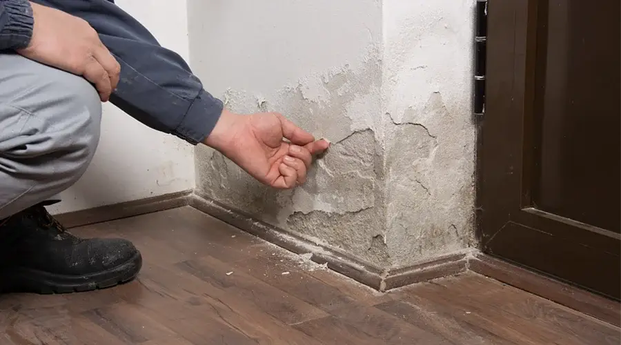 Technician inspecting water damage on wall corner, highlighting mold and deterioration in commercial property restoration context.