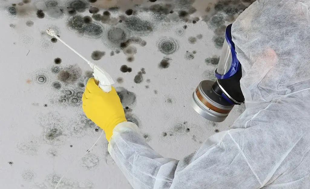 Person in protective gear applying mold remediation treatment on a wall, highlighting effective water damage restoration practices.