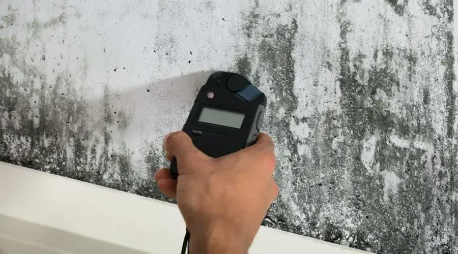 Hand holding a moisture meter against a textured wall with mold