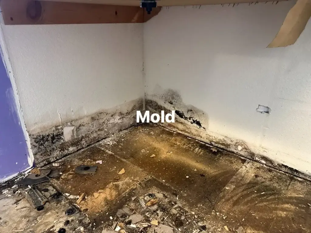 Mold growth on wall and floor in a damp corner of a room.